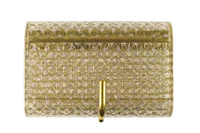 WILARDY Stardust lucite clutch